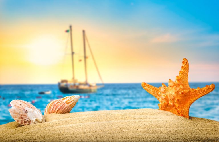 Starfish and shells on sandy beach on a background of sailboat